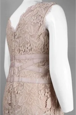 Adrianna Papell - 41905221 V-Neck Lace Ribbon Cocktail Dress - 1 Pc Doe In Size 22W Available 11 Adrianna Papell - 41905221 V-Neck Lace Ribbon Cocktail Dress - 1 Pc Doe In Size 22W Available -Hot Sale WEDDING Store adrianna papell 41905221 v neck lace ribbon cocktail dress 1 pc doe in size 22w available ccsale 22w doe 5581445890105