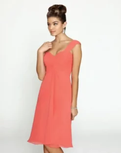 Alexia Designs - 4170 Pleated Sweetheart Chiffon A-line Dress