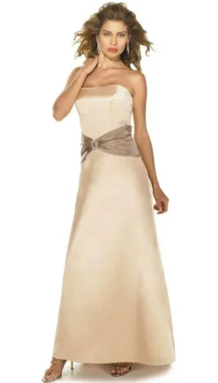 Alexia Designs - 802 Two Tone Prima Satin A-line Dress