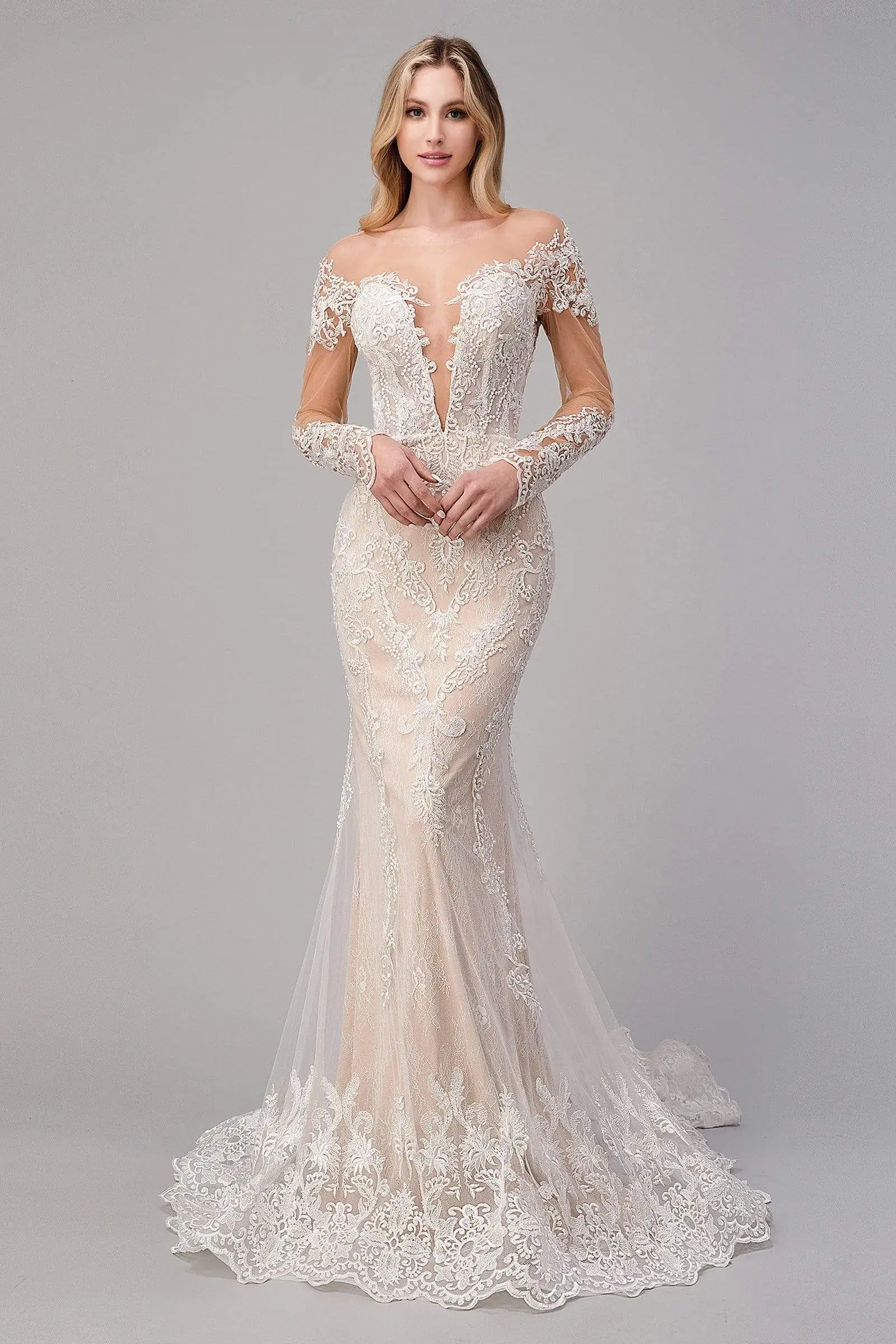 Andrea And Leo - A1022 Embroidered Lace Sheer Bridal Dress 1 Andrea And Leo - A1022 Embroidered Lace Sheer Bridal Dress