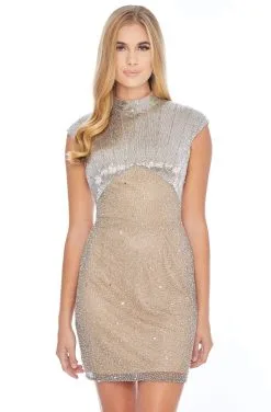 Ashley Lauren - 4331 Embellished High Neck Sheath Dress