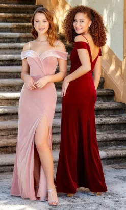 Christina Wu Celebration - 22060 Off Shoulder Evening Dress