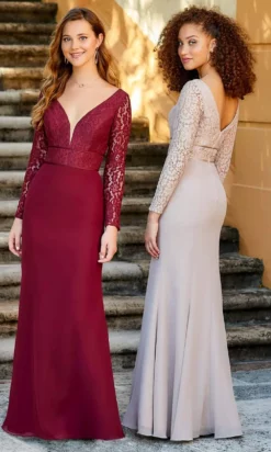 Christina Wu Celebration - 22064 Long Sleeves Lace And Chiffon Evening Dress