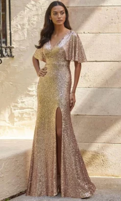 Christina Wu Celebration 22141 - Sequin V-Neck Evening Gown -Hot Sale WEDDING Store christina wu celebration 22141 sequin v neck evening gown evening dresses 32312031969363