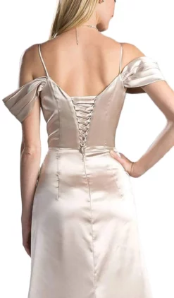 Cinderella Divine - CF297 Pleated Vneck Satin A-line Evening Dress With Slit -Hot Sale WEDDING Store cinderella divine cf297 pleated vneck satin a line evening dress with slit evening dresses 28290264203347