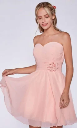 Cinderella Divine - CJ216S Rosette Pleated Sweetheart Chiffon Cocktail Dress -Hot Sale WEDDING Store cinderella divine cj216s rosette pleated sweetheart chiffon cocktail dress special occasion dress 2 blush 14647085203539