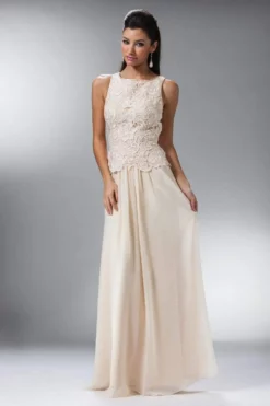 Cinderella Divine - Lace Bateau Neck Chiffon A-line Dress -Hot Sale WEDDING Store cinderella divine lace bateau neck chiffon a line dress bridesmaid dresses xs champagne 27945641279571