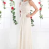 Cinderella Divine - Lace Embroidered Bateau Neck Sheath Dress