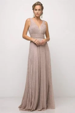 Cinderella Divine - Plunging V-Neck Shirr-Ornate A-Line Evening Gown -Hot Sale WEDDING Store cinderella divine plunging v neck shirr ornate a line evening gown mother of the bride dresses 2 dusty rose 28141974650963
