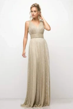 Cinderella Divine - Plunging V-Neck Shirr-Ornate A-Line Evening Gown -Hot Sale WEDDING Store cinderella divine plunging v neck shirr ornate a line evening gown mother of the bride dresses 2 gold 28286734860371
