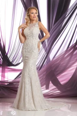 Da Vinci Bridal - 50385 Sheer Bateau Neckline Lace Tulle Wedding Gown 5 Da Vinci Bridal - 50385 Sheer Bateau Neckline Lace Tulle Wedding Gown -Hot Sale WEDDING Store da vinci bridal 50385 sheer bateau neckline lace tulle wedding gown bridal dresses 15445930770515