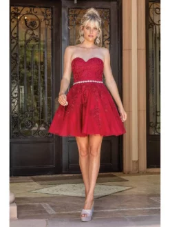 Dancing Queen - 3271 Sweetheart A-Line Cocktail Dress -Hot Sale WEDDING Store dancing queen 3271 sweetheart a line cocktail dress homecoming dresses xs burgundy 32165616779347