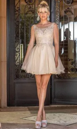 Dancing Queen 3304 - Embroidered Scoop A-Line Cocktail Dress -Hot Sale WEDDING Store dancing queen 3304 embroidered scoop a line cocktail dress special occasion dress xs champagne 30577250107475