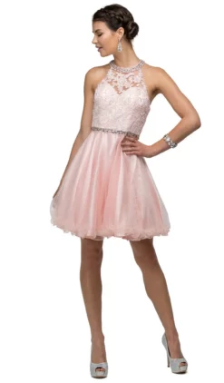Dancing Queen - 9534 Bejeweled Collar Halter Lace A-Line Homecoming Dress 9 Dancing Queen - 9534 Bejeweled Collar Halter Lace A-Line Homecoming Dress -Hot Sale WEDDING Store dancing queen 9534 bejeweled collar halter lace a line homecoming dress homecoming dresses xs blush 5682271584313