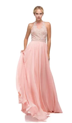 Dancing Queen - 9689 Jeweled High Illusion Long Chiffon A-Line Prom Dress -Hot Sale WEDDING Store dancing queen 9689 jeweled high illusion long chiffon a line prom dress special occasion dress xs blush 5682270797881
