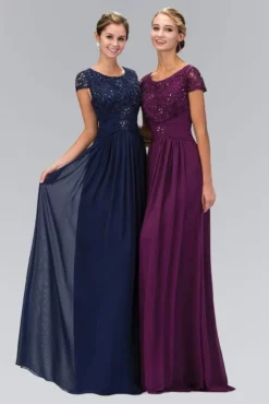 Elizabeth K Cap Sleeve Beaded Lace Bodice Chiffon Gown - 1 Pc Eggplant In Size XL Available