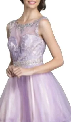 Aspeed Design - Embellished Illusion Bateau Homecoming Dress -Hot Sale WEDDING Store embellished illusion bateau homecoming dress dress 5654958899257