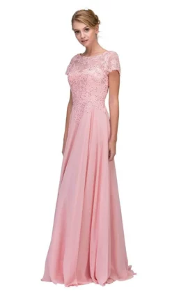 Eureka Fashion - 4909-4XL Illusion Short Sleeve Applique Chiffon Dress -Hot Sale WEDDING Store eureka fashion 4909 4xl illusion short sleeve applique chiffon dress special occasion dress xs dusty pink 6706057412691