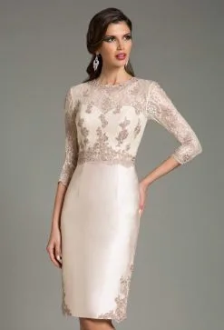 Feriani Couture - Quarter Sleeve Illusion Lace Appliqued Dress 18503 - 1 Pc Silver In Size 10 Available