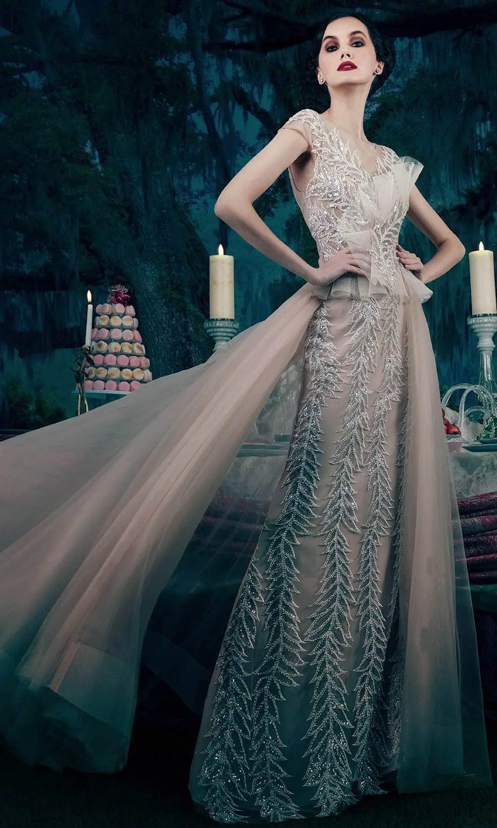 Janique 15761 - Cap Sleeve Illusion V-neck Long Dress 2 Janique 15761 - Cap Sleeve Illusion V-neck Long Dress - Image 2