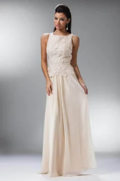 Ladivine 1453 -Hot Sale WEDDING Store ladivine 1453 bridesmaid dresses xs champagne 31325834018899