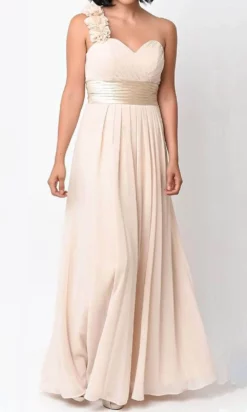 Ladivine 1491 -Hot Sale WEDDING Store ladivine 1491 bridesmaid dresses xs champagne 31325583474771