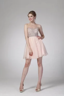 Ladivine CJ90S -Hot Sale WEDDING Store ladivine cj90s cocktail dresses 2 peach 31325819699283