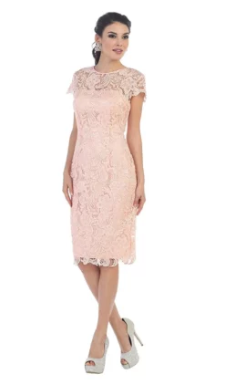 May Queen - Short Sleeve Sheer Scalloped Lace Formal Dress -Hot Sale WEDDING Store may queen short sleeve sheer scalloped lace formal dress special occasion dress m blush 5657415024697