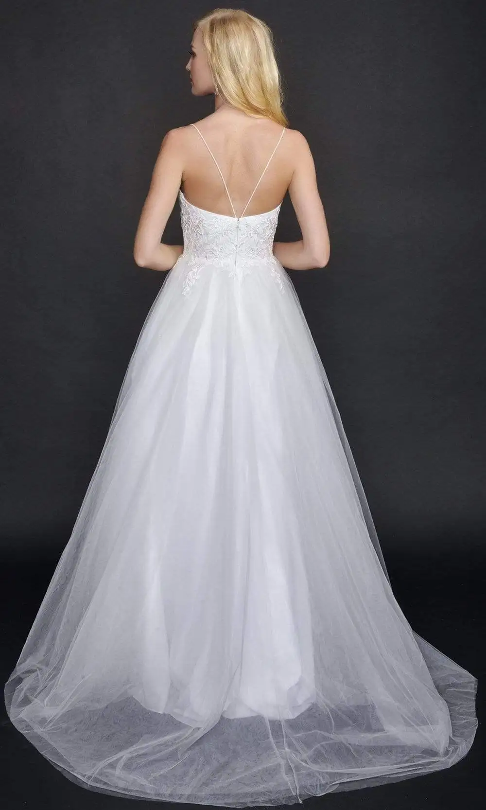 Nina Canacci - 3179 Sleeveless Sheer Overlay Ballgown 2 Nina Canacci - 3179 Sleeveless Sheer Overlay Ballgown - Image 2