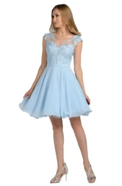 Poly USA - 8094 Cap Sleeve Appliqued Bodice A-Line Dress