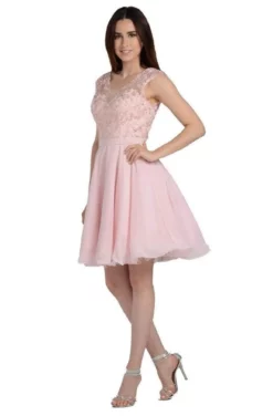 Poly USA - 8094 Cap Sleeve Appliqued Bodice A-Line Dress -Hot Sale WEDDING Store poly usa 8094 cap sleeve appliqued bodice a line dress bridesmaid dresses xs blush 13426270109779