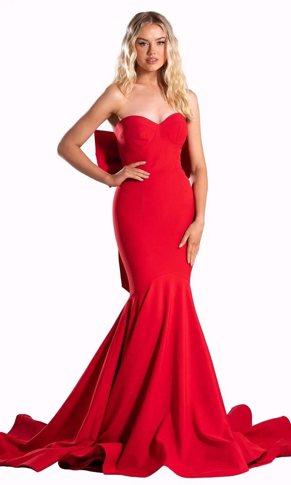 Portia And Scarlett - PS21005 Bow Accented Back Mermaid Gown 1 Portia And Scarlett - PS21005 Bow Accented Back Mermaid Gown