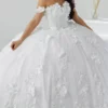 Quinceanera Collection 26024 - Floral Appliqued Quinceanera