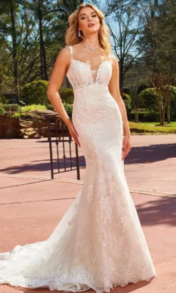 Rachel Allan Bridal Rachel Allan M823 - Sweetheart Lace Bridal Gown -Hot Sale WEDDING Store rachel allan m823 sweetheart lace bridal gown special occasion dress 30763656216659