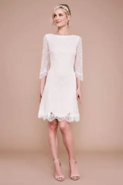 Tadashi Shoji - Matilda Long-Sleeve Embroidered Dress BKV19774SBR - 1 Pc Ivory/Petal In Size 12 Available