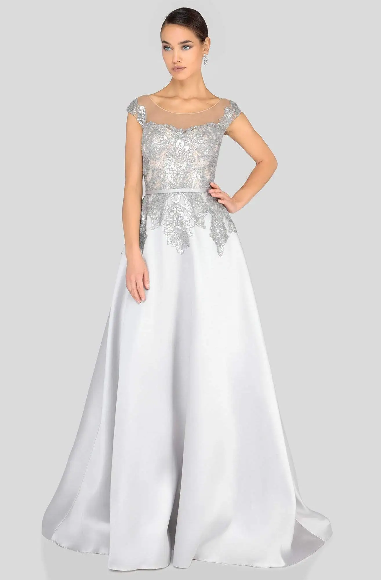 Terani Couture - 1913E9285 Embroidered Illusion Neck A-line Gown 1 Terani Couture - 1913E9285 Embroidered Illusion Neck A-line Gown