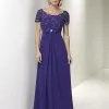 Christina Wu Elegance - Short Sleeve Jeweled Lace Draped Gown 17769