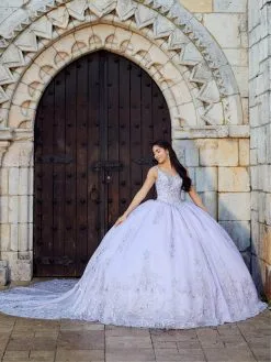 Quinceanera Collection 26040 - Sleeveless V-Neck Ballgown 10 Quinceanera Collection 26040 - Sleeveless V-Neck Ballgown -Hot Sale WEDDING Store quinceanera collection 26040 sleeveless v neck ballgown special occasion dress 30514265915475